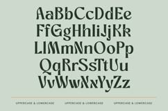 Bottarie - Freestyle Display Font Product Image 18