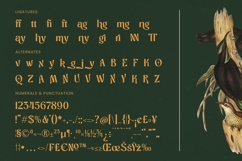 Bottarie - Freestyle Display Font Product Image 19