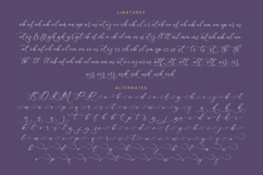 Bottonia Scottella - Stylish Calligraphy Font Product Image 19