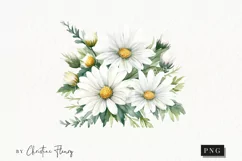Watercolor Daisy Clipart | Watercolor Flower PNG Product Image 1