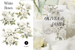 Watercolor White Roses Clipart - Watercolor Floral clipart Product Image 2