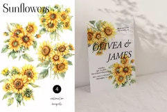 Sunflower bouquets clipart. Watercolor sunflowers frame PNG Product Image 2