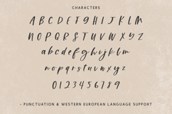 Bourbons Script Font Product Image 10