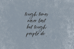 Bourbons Script Font Product Image 6