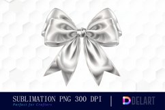 Bow and Silver Bow Illustration Clipart Product Image 1