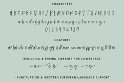 Bowie Girl Script Font Product Image 10