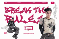 Boxer Storm - Wild Graffiti Font Product Image 3