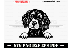 Peeking Boykin Spaniel Dog SVG PNG DXF EPS PDF Product Image 1