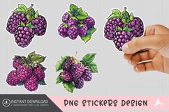 Boysenberry Sticker Clipart,Fruit sticker Clipart Product Image 1