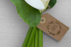 Bracella Font Product Image 3