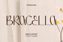 Bracella Font Product Image 1