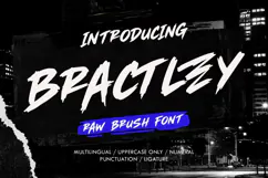 Bractley Bold Streetwear Brush Display Font Product Image 1