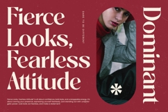 Braise - Bold Tall Serif Display Product Image 2