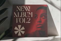 Braise - Bold Tall Serif Display Product Image 4