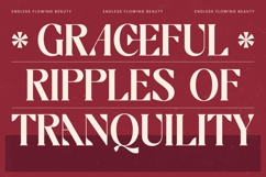 Braise - Bold Tall Serif Display Product Image 8