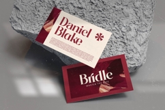 Braise - Bold Tall Serif Display Product Image 9