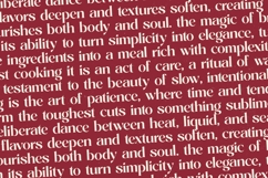 Braise - Bold Tall Serif Display Product Image 13