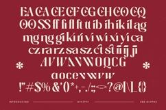 Braise - Bold Tall Serif Display Product Image 19