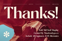 Braise - Bold Tall Serif Display Product Image 20