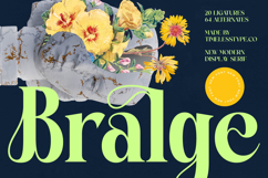 Bralge - Modern Display Serif Font Product Image 1