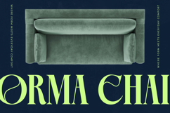 Bralge - Modern Display Serif Font Product Image 3