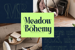 Bralge - Modern Display Serif Font Product Image 8