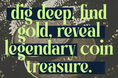 Bralge - Modern Display Serif Font Product Image 11