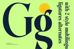 Bralge - Modern Display Serif Font Product Image 12