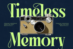 Bralge - Modern Display Serif Font Product Image 14