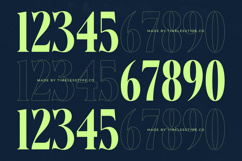 Bralge - Modern Display Serif Font Product Image 16