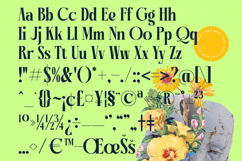 Bralge - Modern Display Serif Font Product Image 18