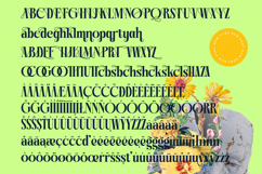 Bralge - Modern Display Serif Font Product Image 19