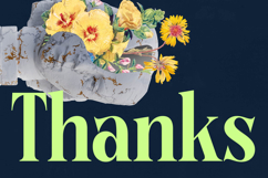 Bralge - Modern Display Serif Font Product Image 20