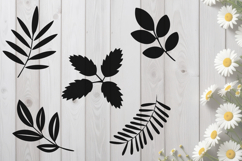 Leaves and Fern Branches SVG Product Image 1
