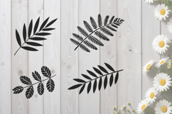 Leaf Branches SVG Product Image 1