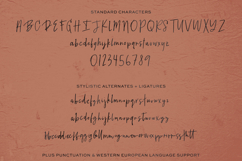 Brauhaus Script Font Product Image 10