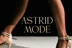 Braven | A Modern Serif Typeface Product Image 7