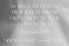 Braven | A Modern Serif Typeface Product Image 8