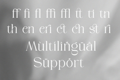 Braven | A Modern Serif Typeface Product Image 9