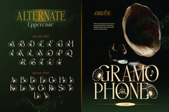 Bravibe Product Image 7