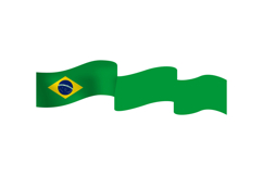 Brazil wave flag element decorative vector Product Image 1