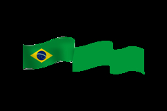 Brazil wave flag element decorative vector Product Image 2