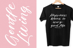 Breakup Galaxy - Modern Handbrush Font Product Image 6