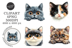 Breeds Of Peeking cats Clipart Product Image 1