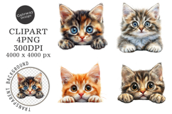 Breeds Of Peeking cats Clipart Product Image 1