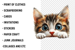 Breeds Of Peeking cats Clipart Product Image 2