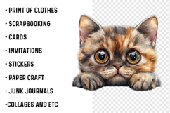 Breeds Of Peeking cats Clipart Product Image 2