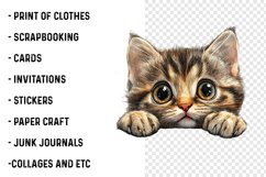 Breeds Of Peeking cats Clipart Product Image 2