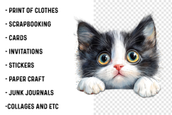 Breeds Of Peeking cats Clipart Product Image 2