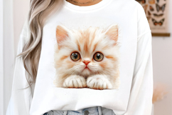 Breeds Of Peeking cats Clipart Product Image 3